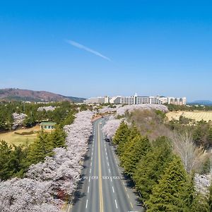 Kensington Resort Gyeongju